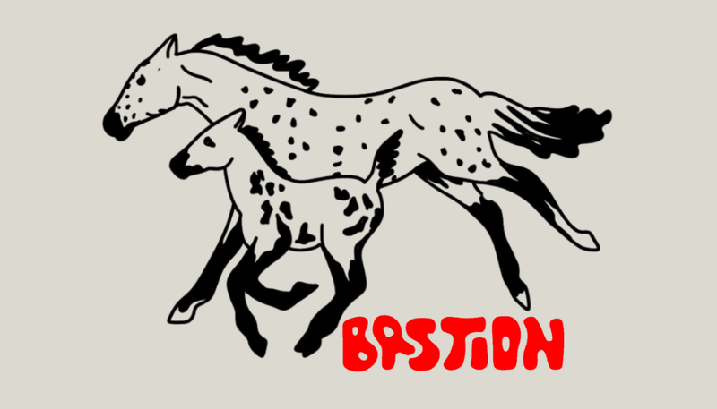 Bastion Coffee Company