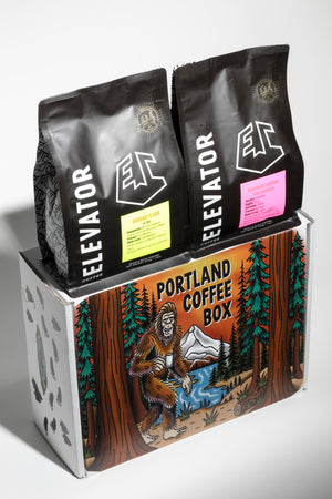 Two Bag Coffee Box