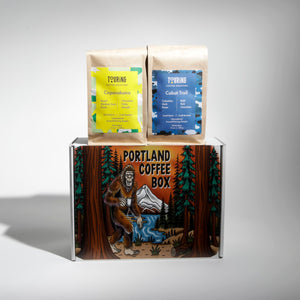 Two Bag Coffee Box