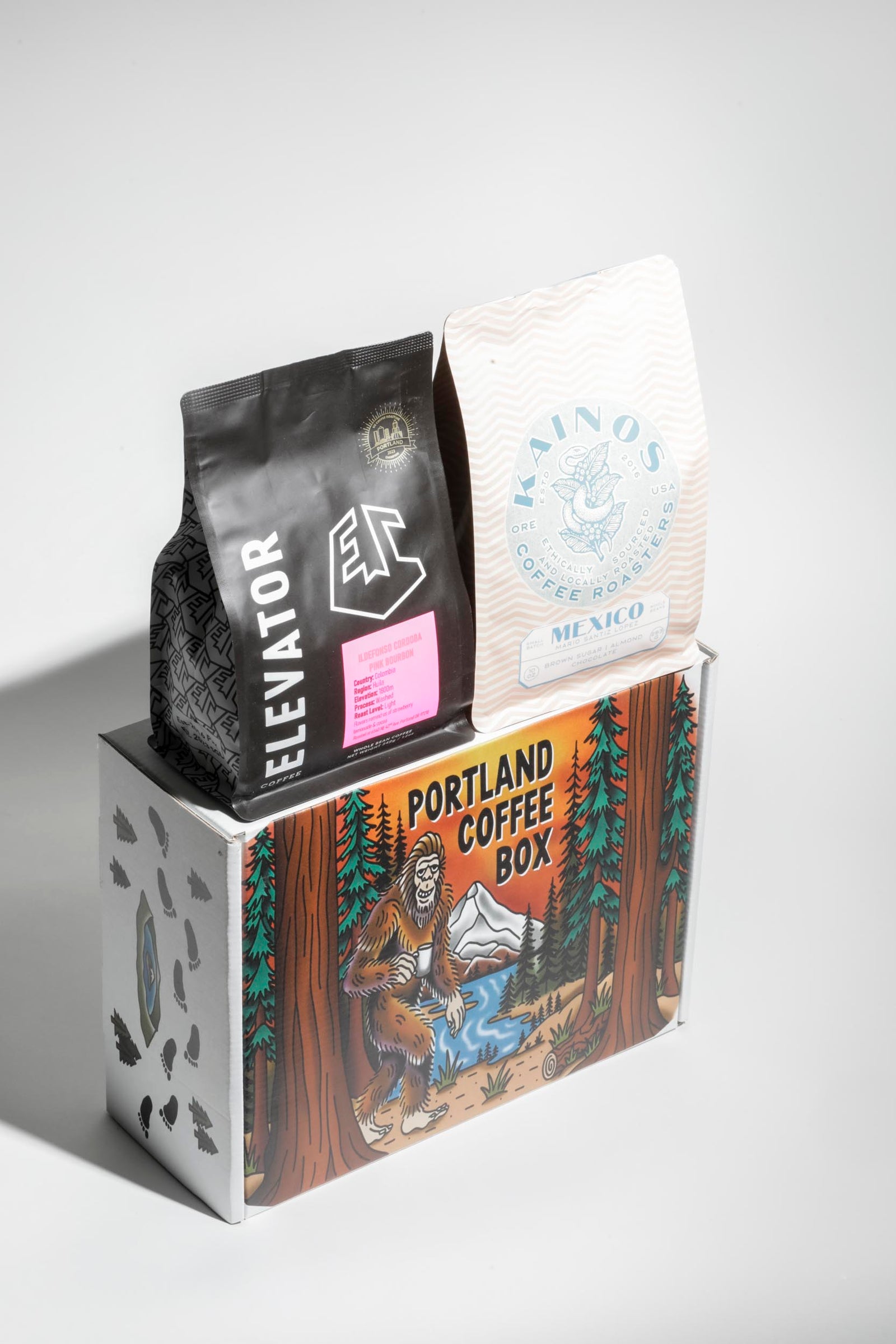 Two Bag Coffee Box