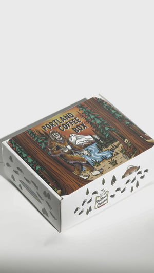 Two Bag Coffee Box